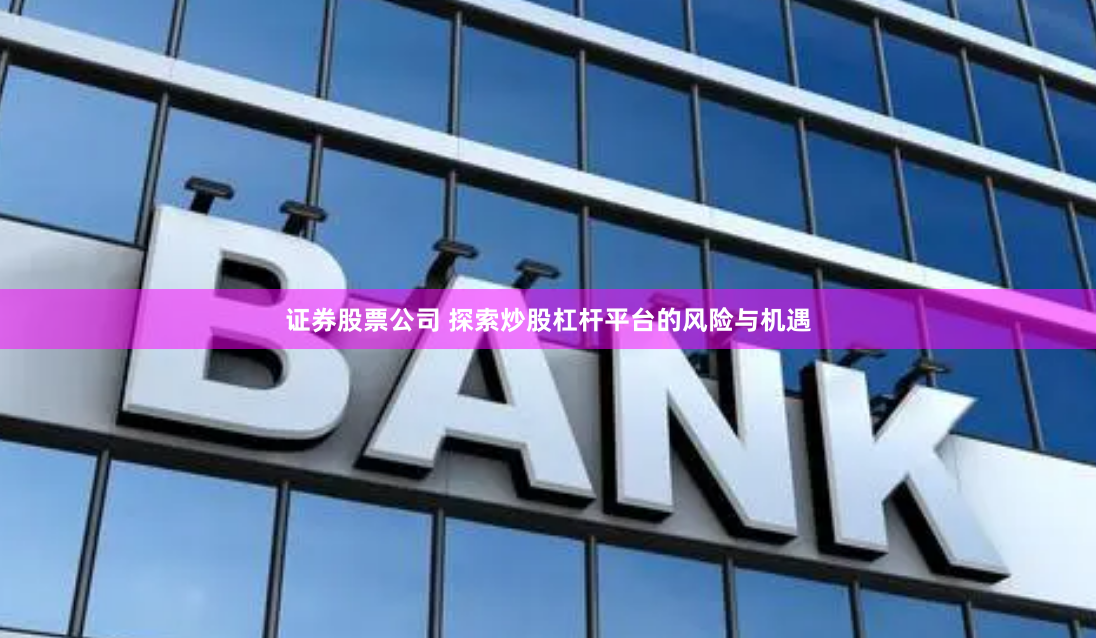 证券股票公司 探索炒股杠杆平台的风险与机遇