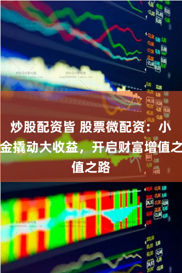 炒股配资皆 股票微配资：小资金撬动大收益，开启财富增值之路