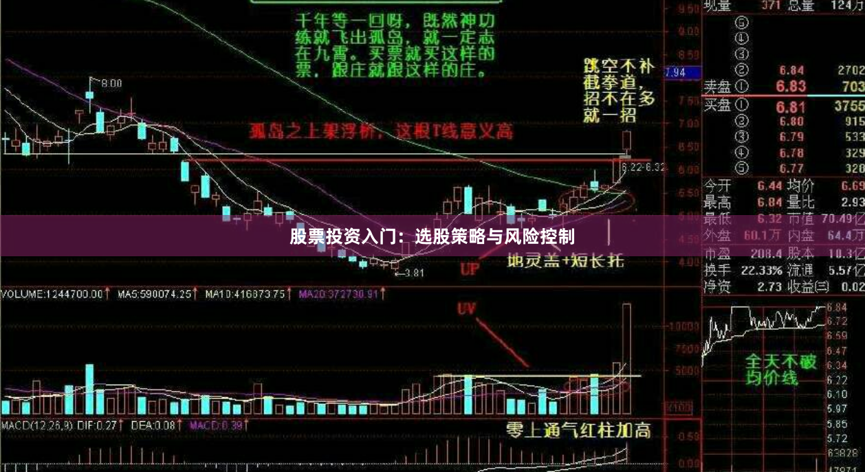 股票投资入门：选股策略与风险控制