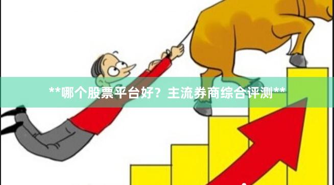 **哪个股票平台好？主流券商综合评测**